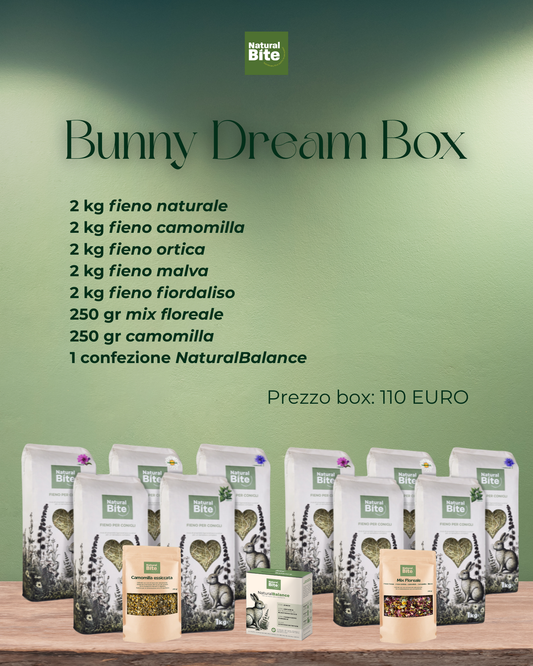 DREAM BOX